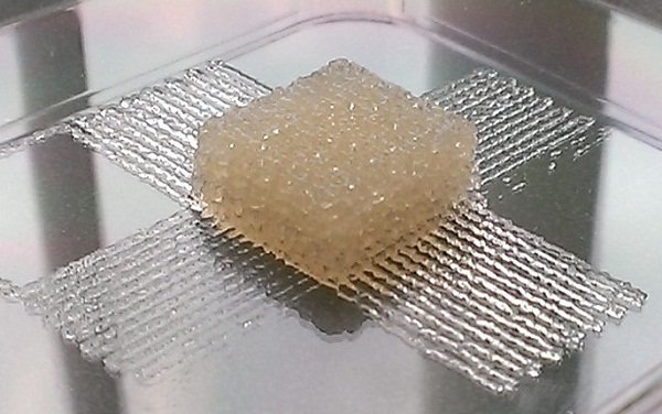 了解生物3D打印，從這篇文章開始